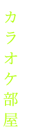 歌って踊れるカラオケ部屋