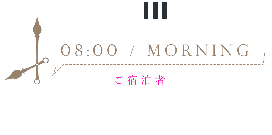 8:00 / Morning