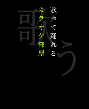 歌って踊れるカラオケ部屋