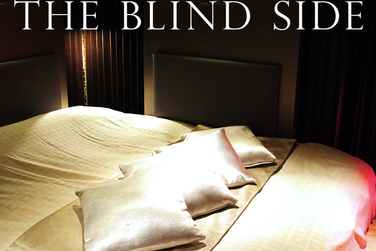 The Blind Sideしあわせの隠れ場所